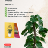 Aprende Hospital de Plantas