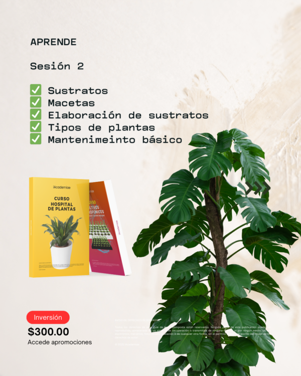 Aprende Hospital de Plantas