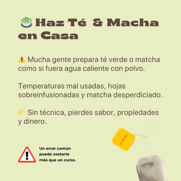 Aprende Té Verde y Matcha