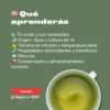 Aprende Té Verde y Matcha