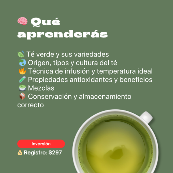Aprende Té Verde y Matcha