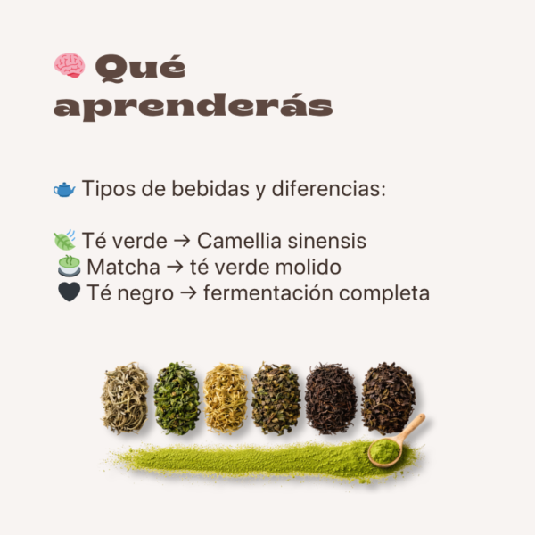 Aprende Té Verde y Matcha