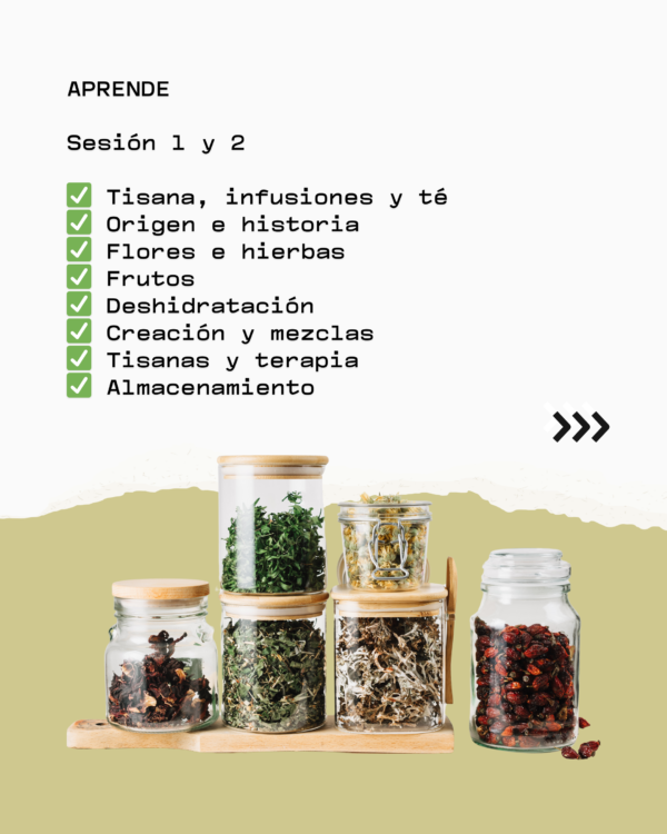 Aprende Tisanas Herbales, Florales y Frutales