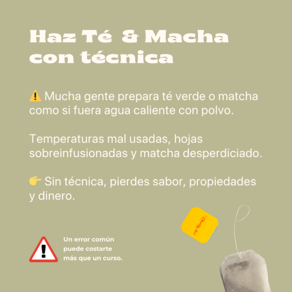 Matcha y Té Verde: El Ritual que Transforma tu Día