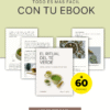 Aprende Té Verde y Matcha