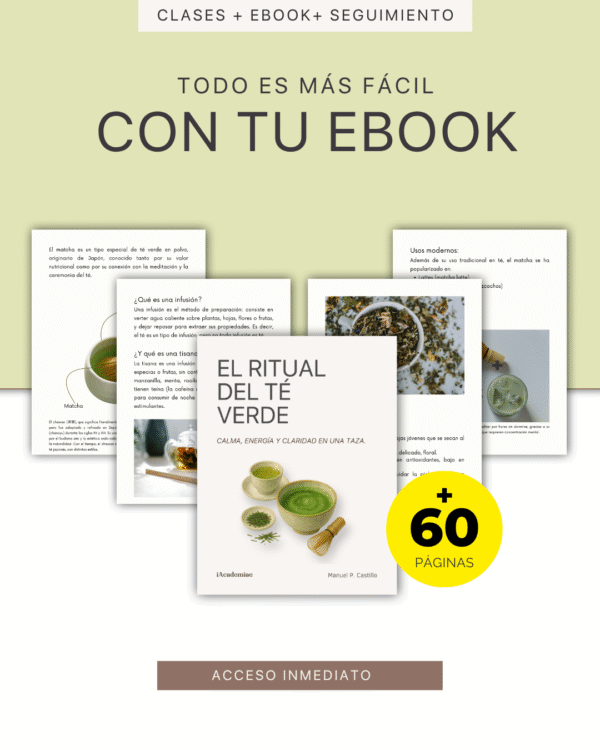 Aprende Té Verde y Matcha