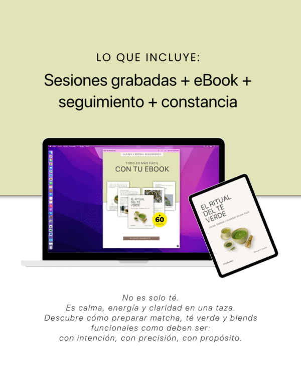 Aprende Té Verde y Matcha