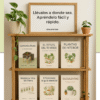 Aprende Té Verde y Matcha