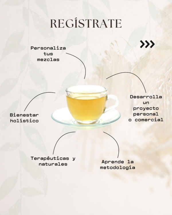 Aprende Tisanas Herbales, Florales y Frutales