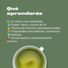 Matcha y Té Verde: El Ritual que Transforma tu Día