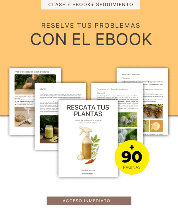 Aprende Hospital de Plantas