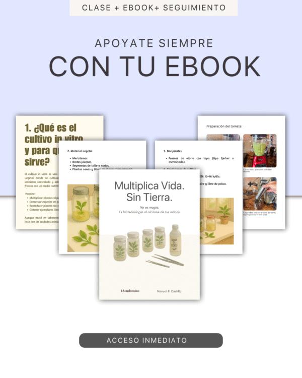 Aprende Cultivo In Vitro en Casa