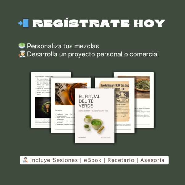 Aprende Té Verde y Matcha