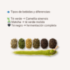 Matcha y Té Verde: El Ritual que Transforma tu Día
