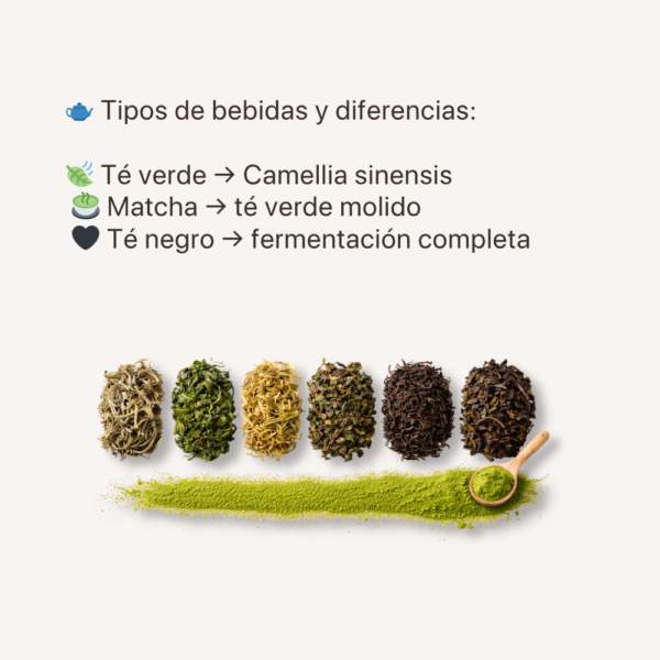 Matcha y Té Verde: El Ritual que Transforma tu Día