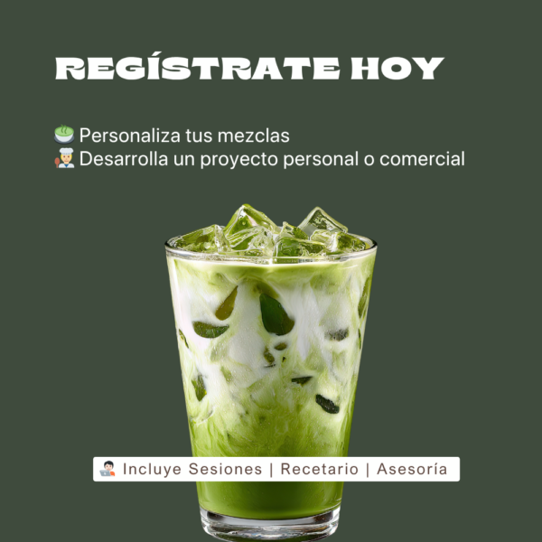 Matcha y Té Verde: El Ritual que Transforma tu Día