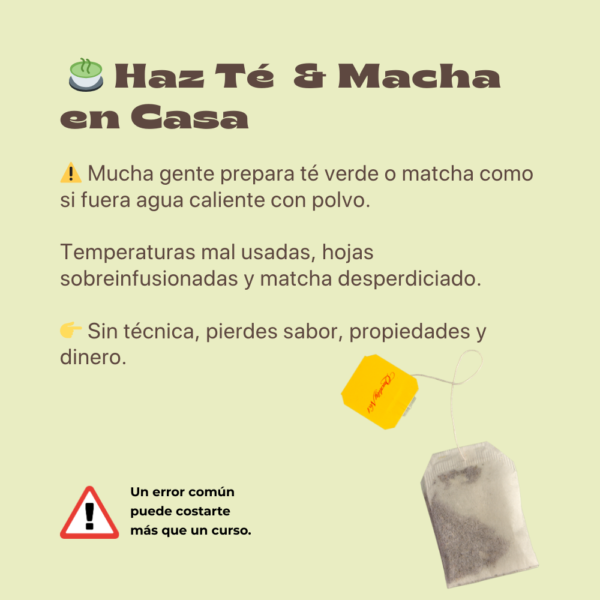 Aprende Té Verde y Matcha