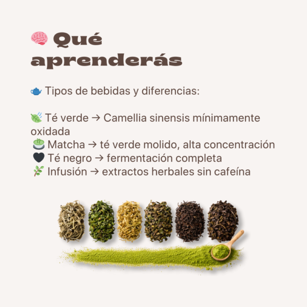 Aprende Té Verde y Matcha