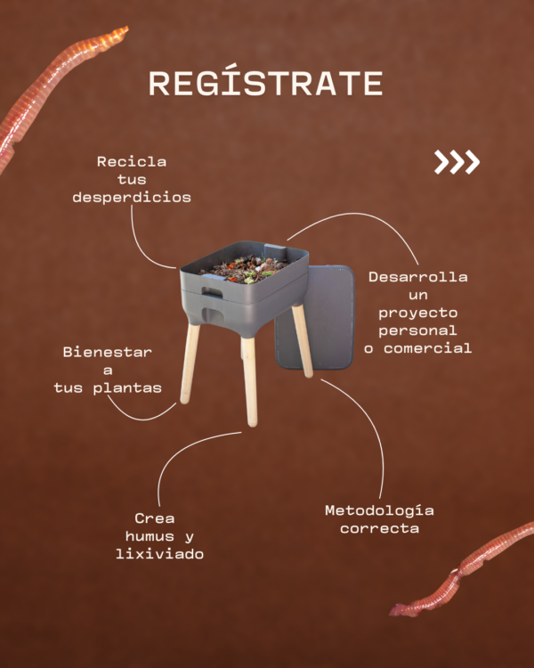 Aprende Lombricomposta