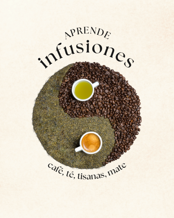 Aprende Infusiones
