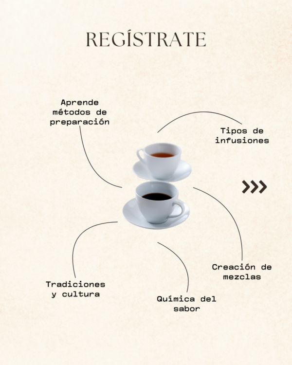 Aprende Infusiones