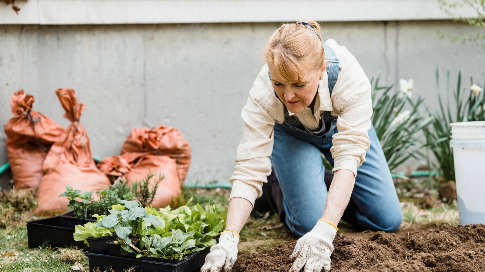 AVISO (2) Aprende Cultivo de Plantas en Casa