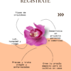 Aprende Orquídeas