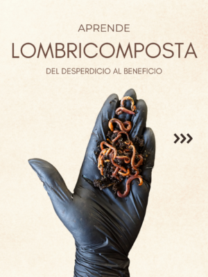 Aprende Lombricomposta