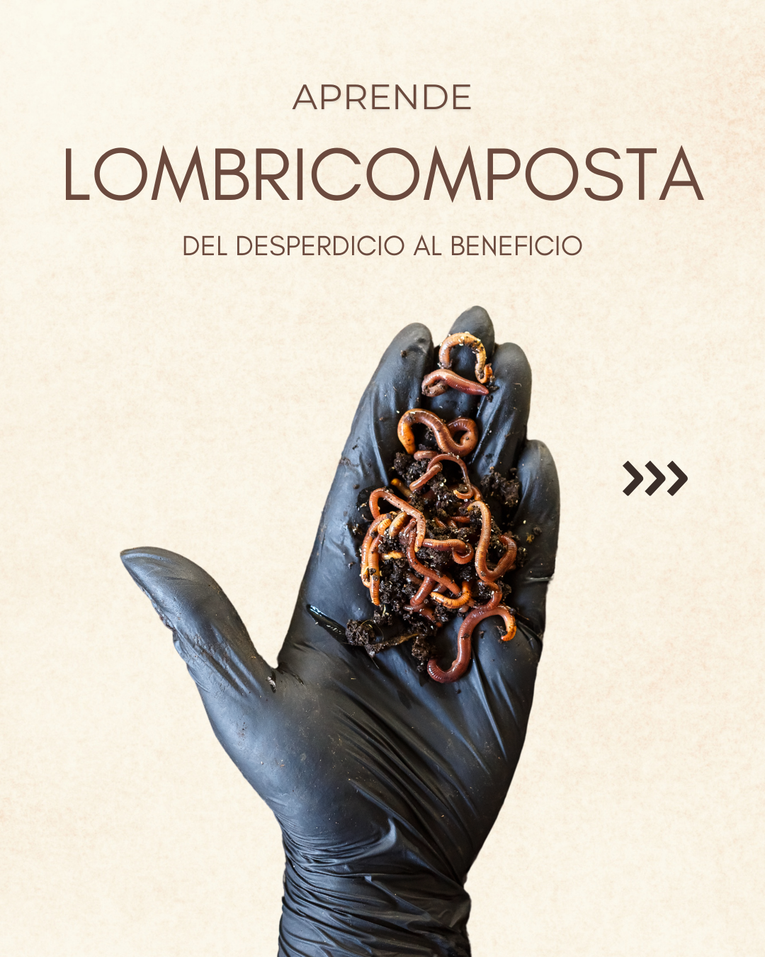 Aprende Lombricomposta