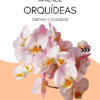 Aprende Orquídeas