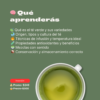 Aprende Té Verde y Matcha