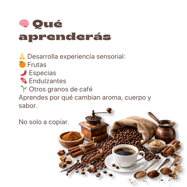 Aprende Café y Barismo en Casa