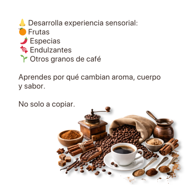 Aprende Café y Barismo en Casa