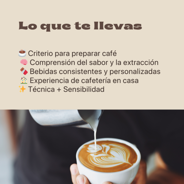 Domina el Café de Especialidad: Técnicas Reales de Barismo