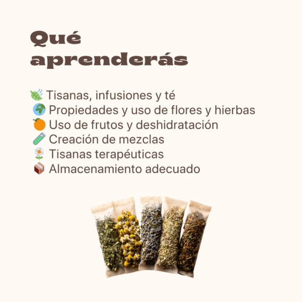 Crea tus Tisanas: Mezclas que Venden, Relajan y Conquistan