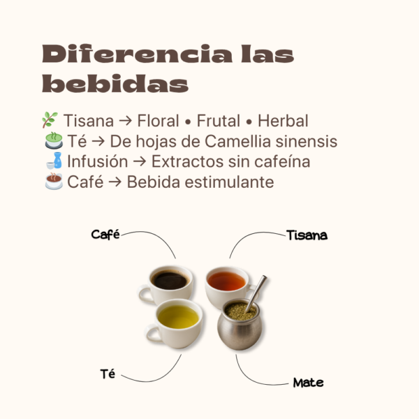 Crea tus Tisanas: Mezclas que Venden, Relajan y Conquistan