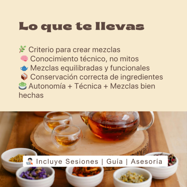 Crea tus Tisanas: Mezclas que Venden, Relajan y Conquistan