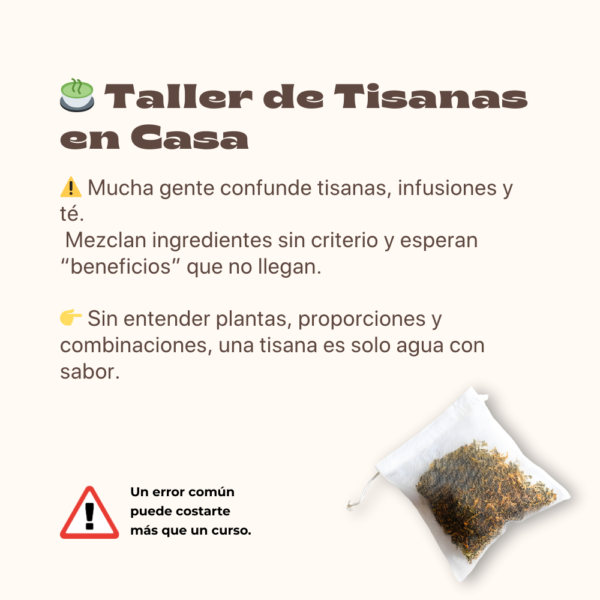 16 Aprende Tisanas Herbales, Florales y Frutales