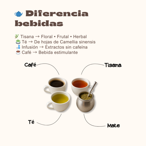 19 Aprende Tisanas Herbales, Florales y Frutales