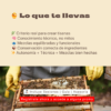 20 Aprende Tisanas Herbales, Florales y Frutales