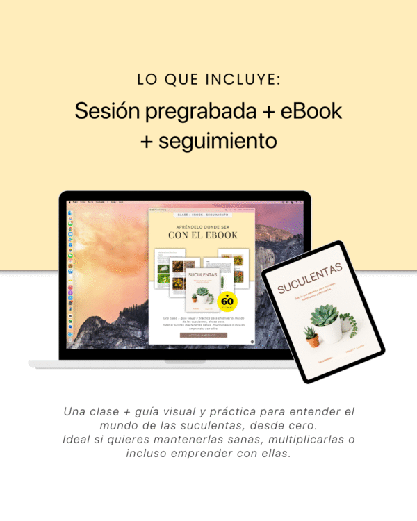 Aprende Cultivo de Suculentas