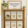 Aprende Cultivo de Suculentas