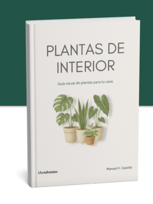 Aprende Cultivo de Plantas en Casa