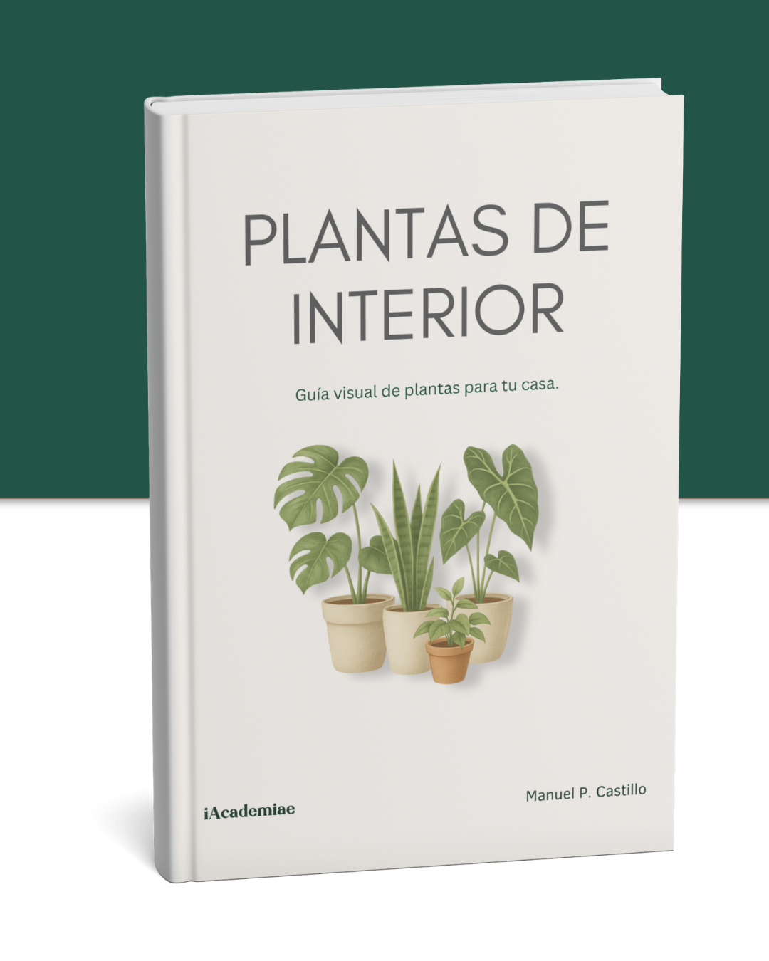 Aprende Cultivo de Plantas en Casa
