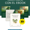 Aprende Cultivo de Plantas en Casa