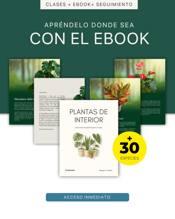 Aprende Cultivo de Plantas en Casa