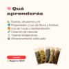 Aprende Tisanas Herbales, Florales y Frutales