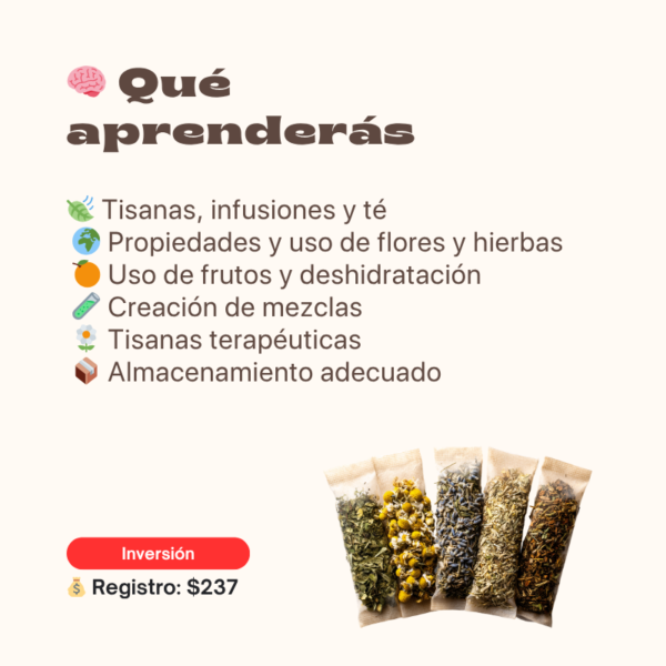Aprende Tisanas Herbales, Florales y Frutales