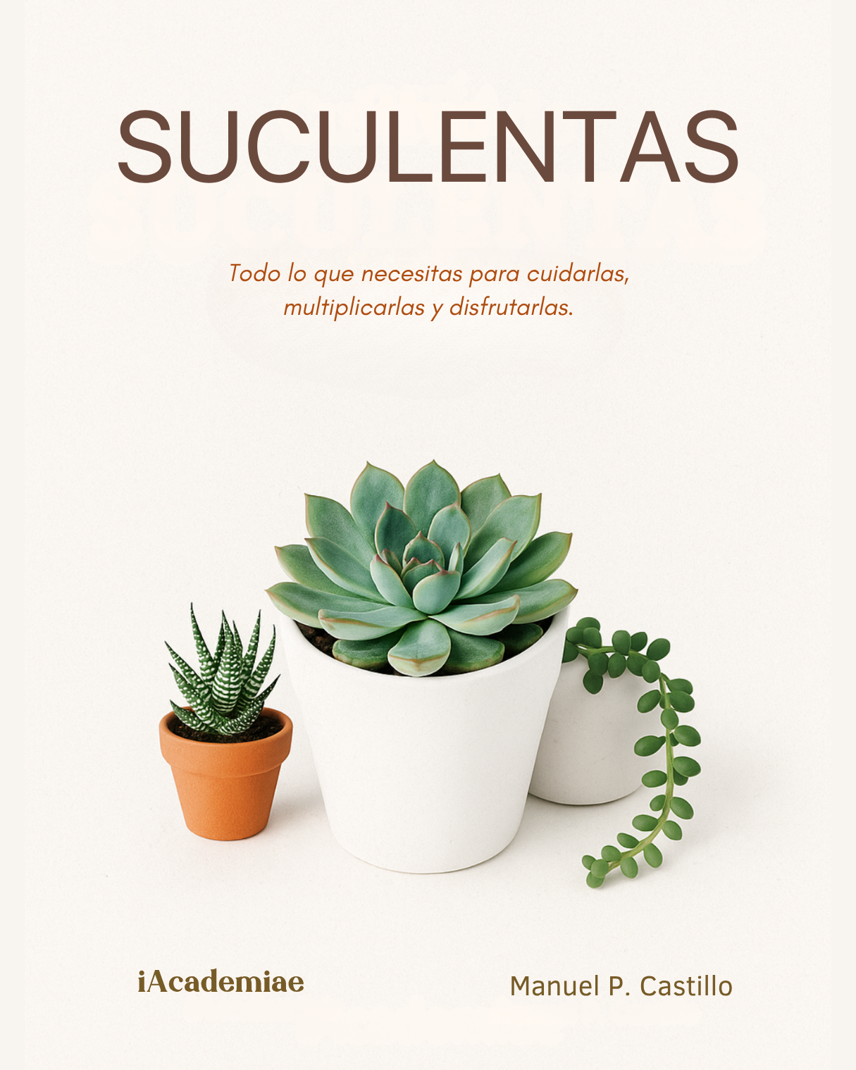6 Aprende Cultivo de Suculentas
