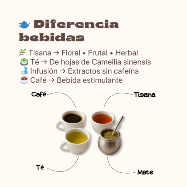 Aprende Tisanas Herbales, Florales y Frutales